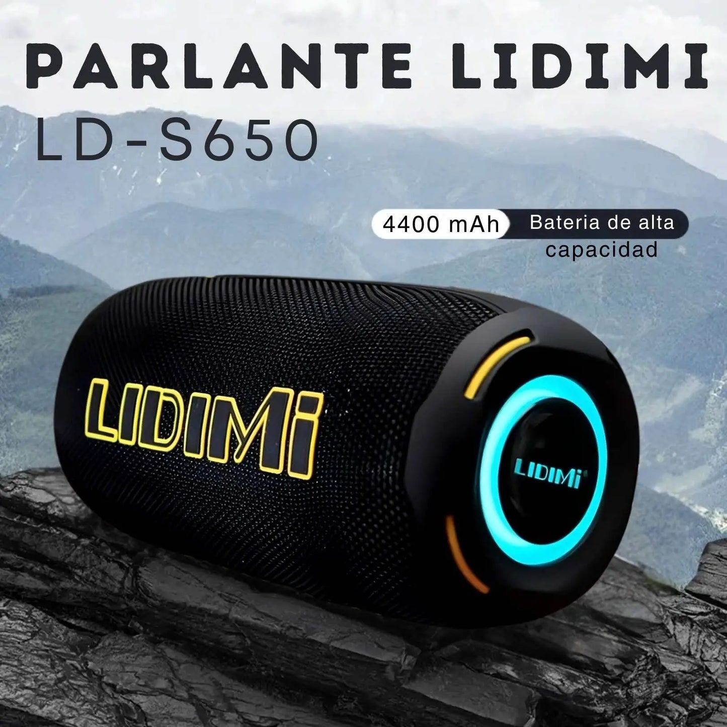 PARLANTE LIDIMI LD-S650 PREMIUM F-Y