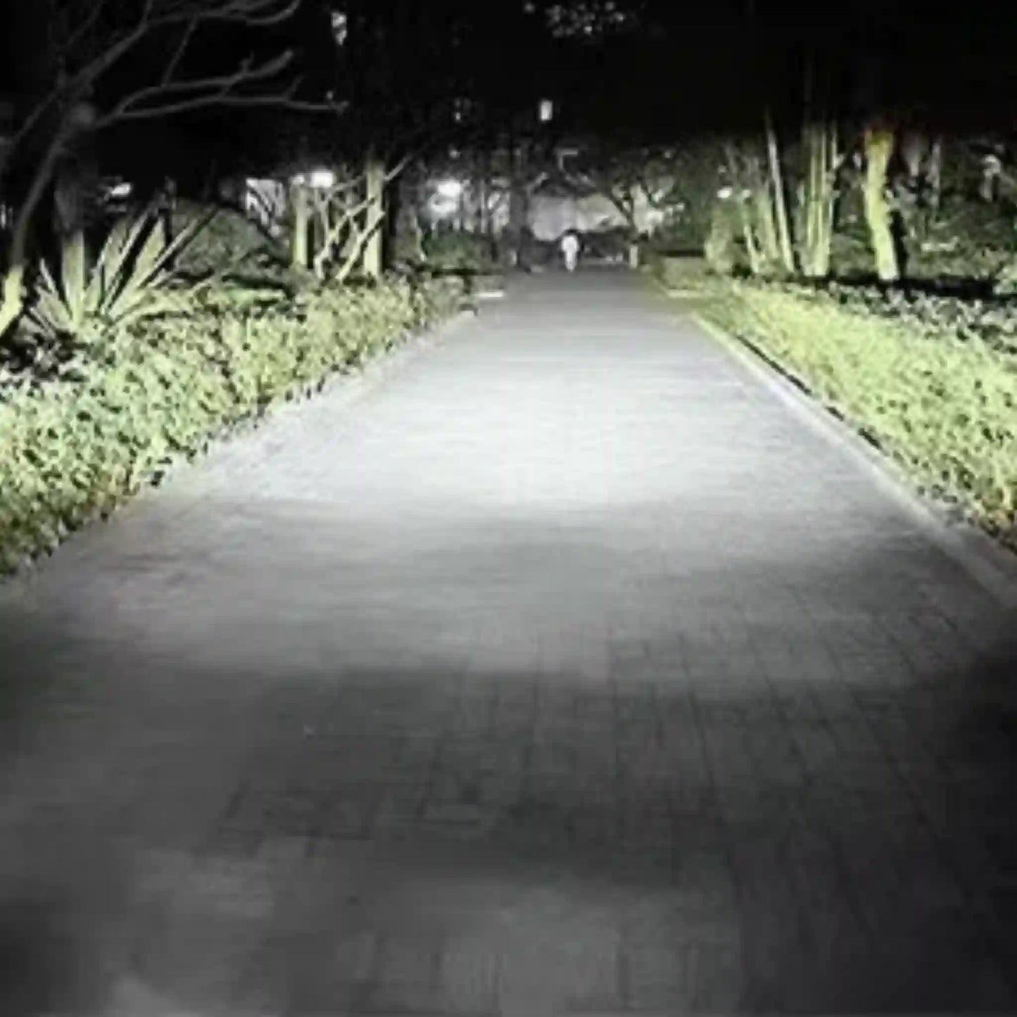 EXPLORADOR LUZ LED DELANTERO- TRIPLE TONALIDAD